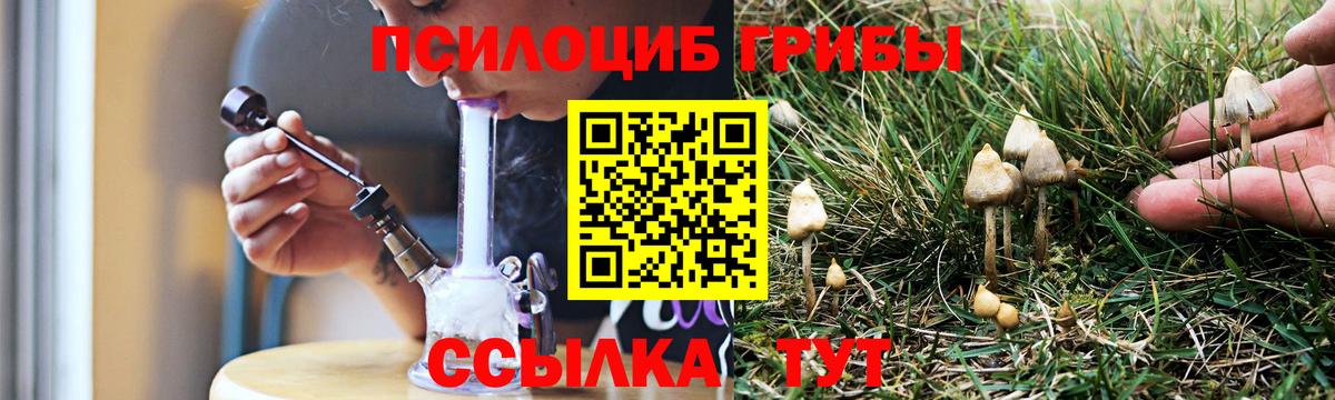 Юрга  Псилоцибиновые грибы прущие грибы  наркошоп  Псилоцибиновые грибы Magic Shrooms  Вход с VPN 