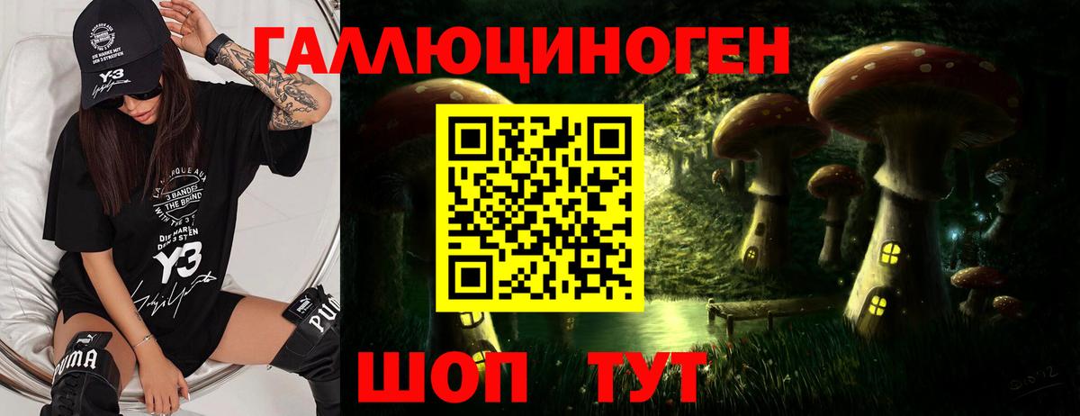Псилоцибиновые грибы мухоморы Юрга